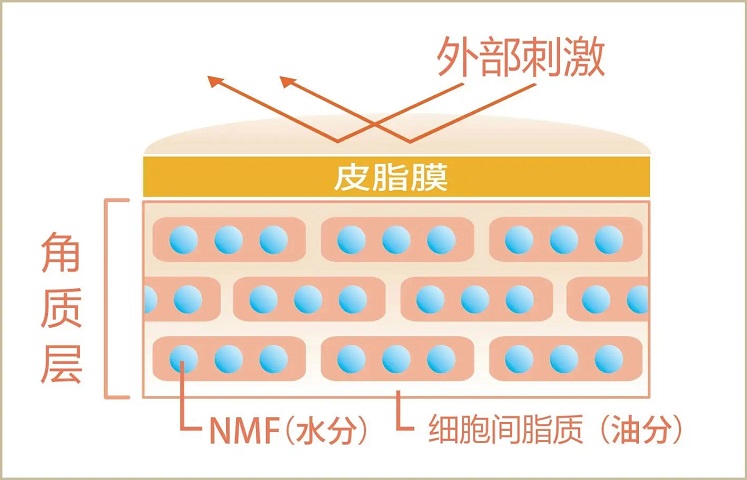 皮肤吸收不好？那要如何正确去角质